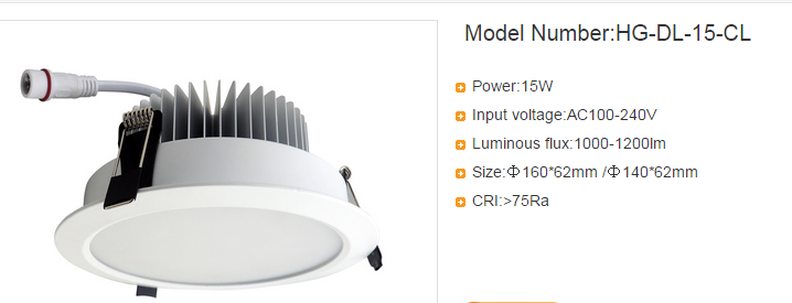 LED DownLighters