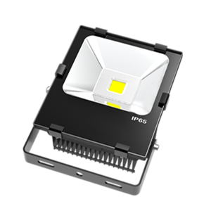 LED Flood Lights 