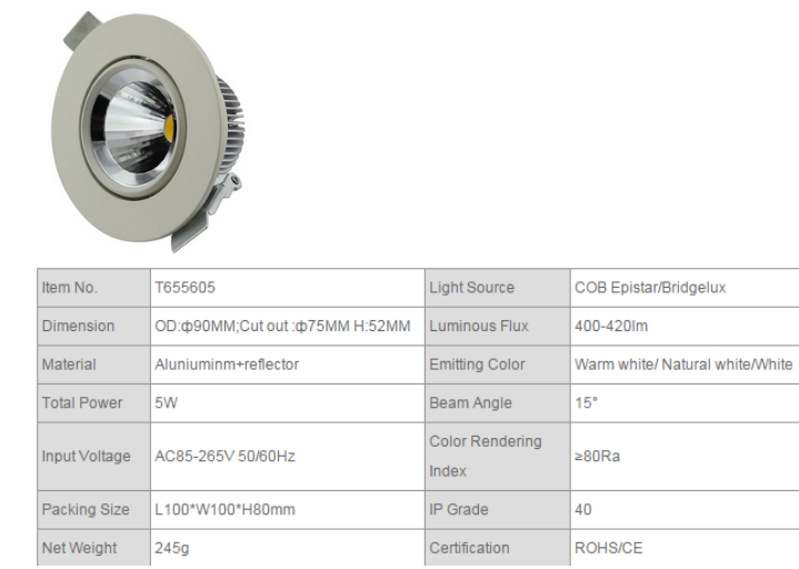 LED DownLighters