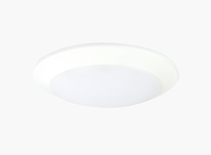 LED DownLighters