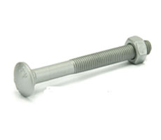 Carriage Bolt