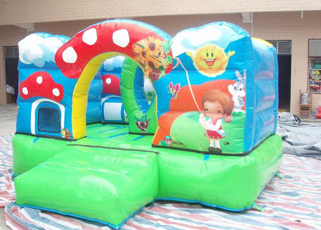 Inflatable Castles