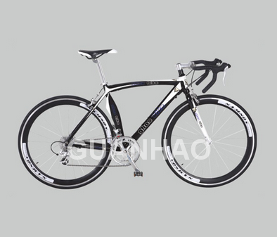 Road Bicycle