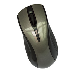 Computer Mouse