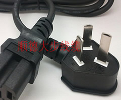 Electrical Plug