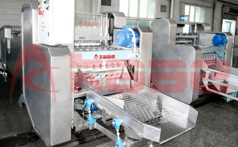 Peach Pitting Machine