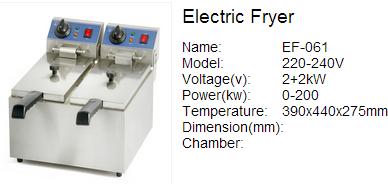 Electric Fryer