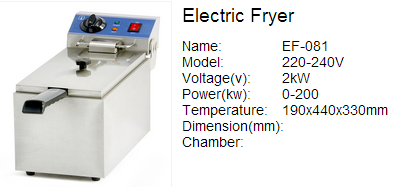 Electric Fryer