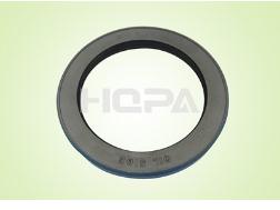 Hydraulic Seal