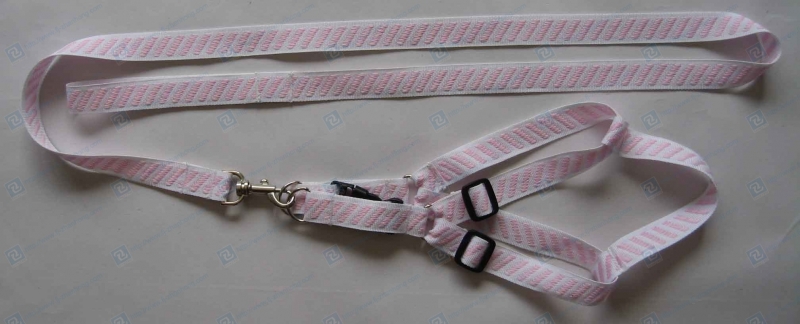 Pet Leash