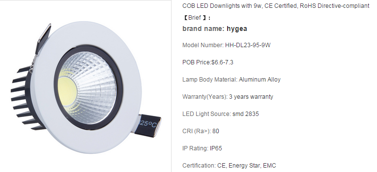 LED DownLighters